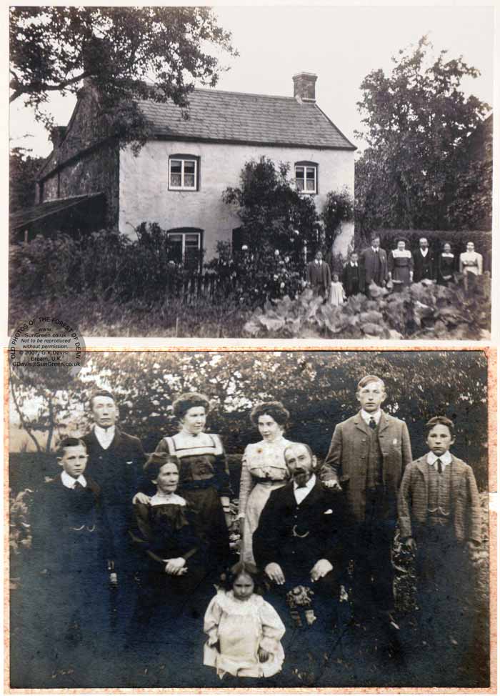 The Filberts 1909