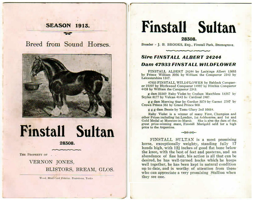 Finstall Sultan