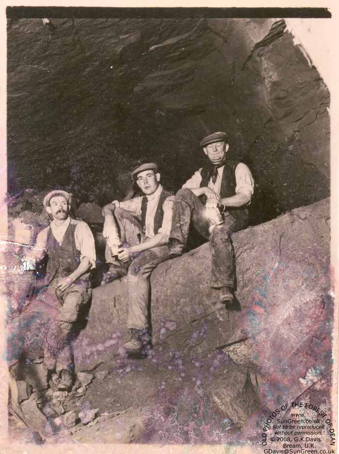 Underground in the Forest