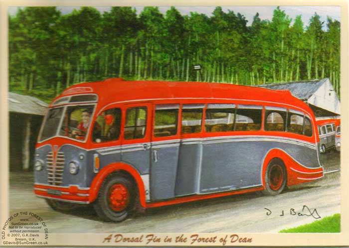Bevan Fin Bus