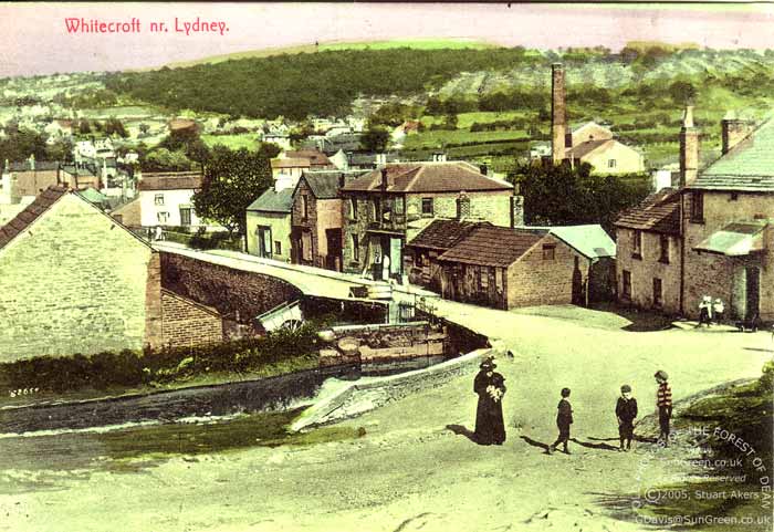 Image: Whitecroft, The Bay (64k)