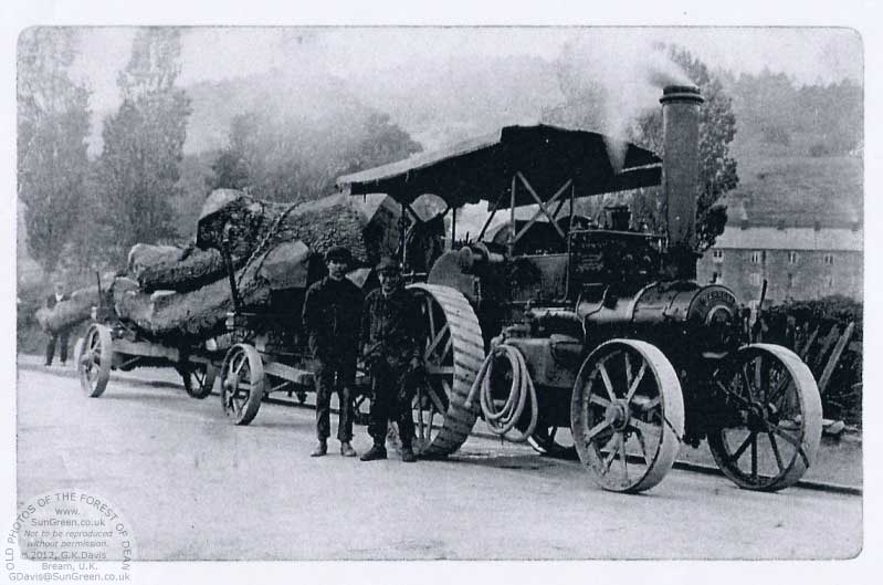 Traction engine pulling timber at Parkend
