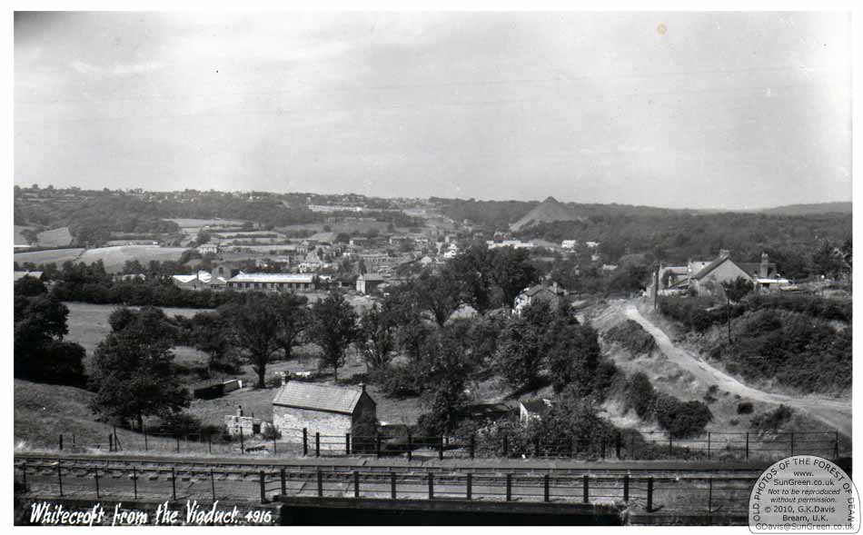 Whitecroft from the Viaduct