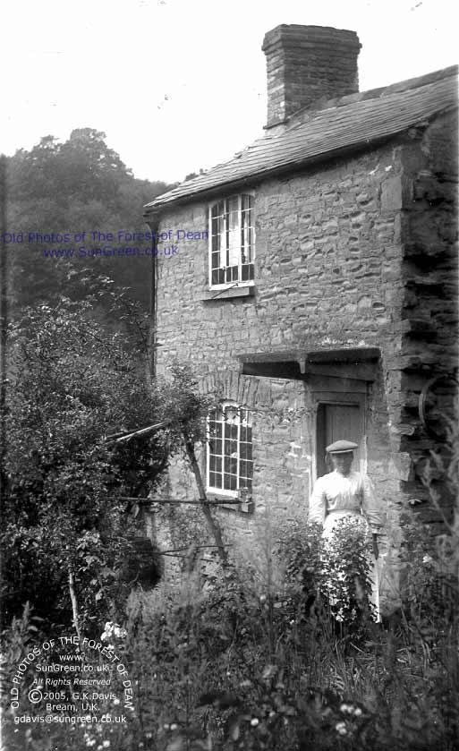 Image : Elizabeth C Miles (65k)