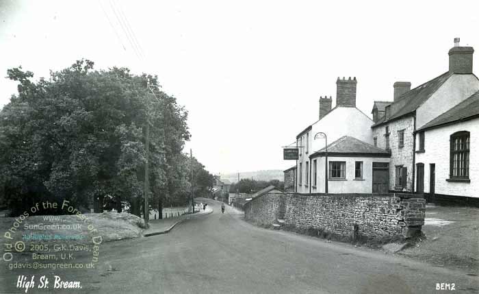 The Rising Sun, Bream (32k)