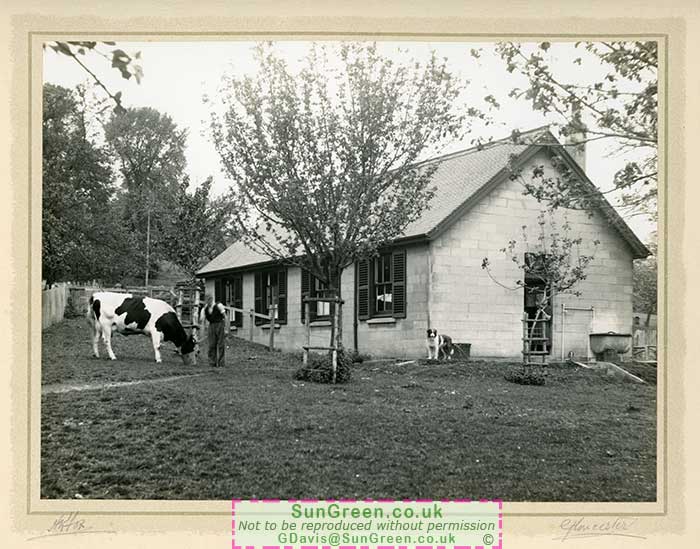 The Cheese Dairy in Alburton, Gloucestershire