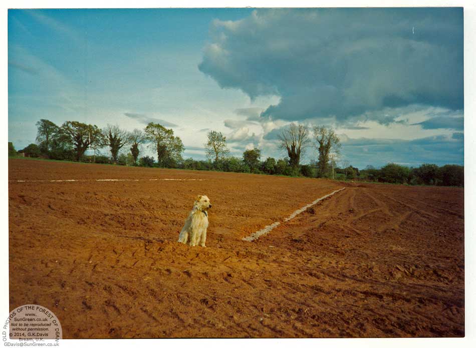 A photo taken during the levelling of the Bream RFC pitch.